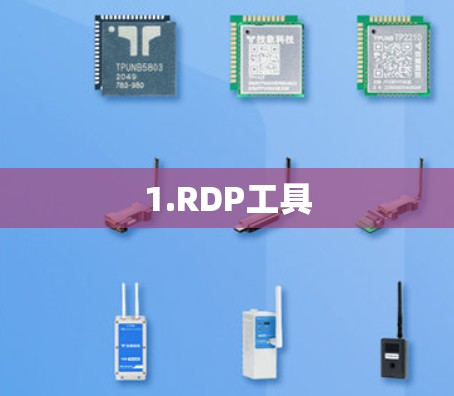 1.RDP工具 1.RDP工具