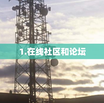 1.在线社区和论坛 1.在线社区和论坛