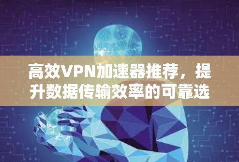 高效VPN加速器推荐,提升数据传输效率的可靠选择 高效VPN加速器推荐,提升数据传输效率的可靠选择
