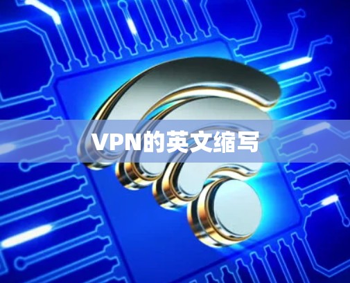 VPN的英文缩写