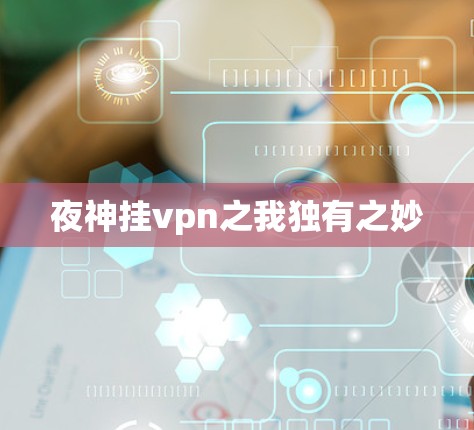 夜神挂vpn之我独有之妙