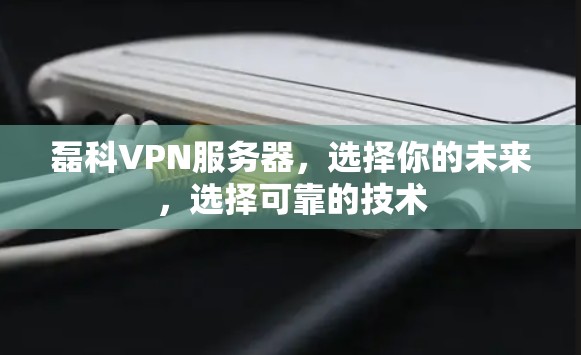 磊科VPN服务器，选择你的未来，选择可靠的技术