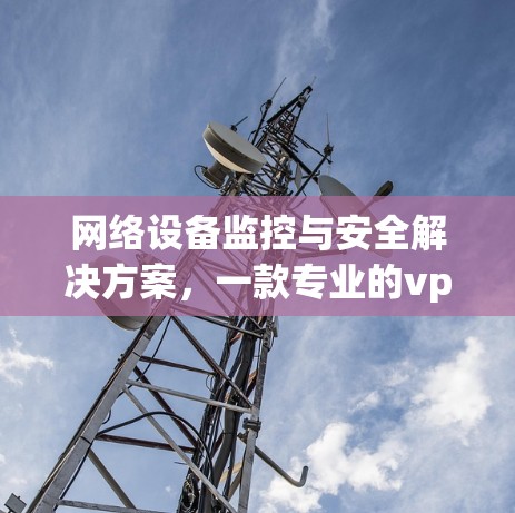 网络设备监控与安全解决方案，一款专业的vpn代理服务器软件