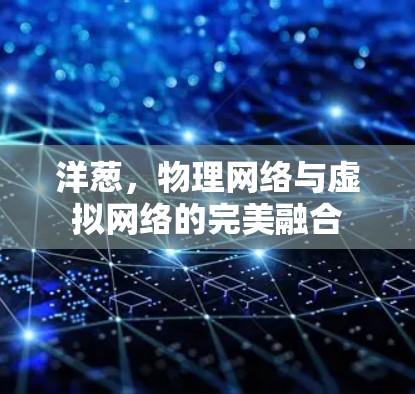 洋葱，物理网络与虚拟网络的完美融合