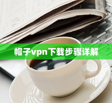 帽子vpn下载步骤详解