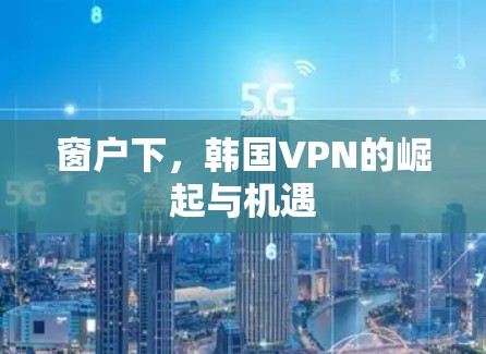 窗户下，韩国VPN的崛起与机遇