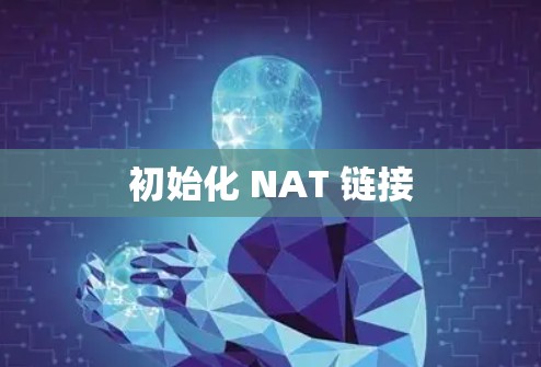 初始化 NAT 链接