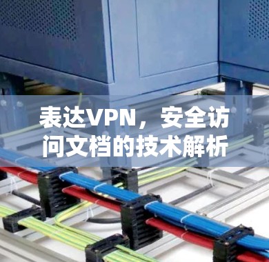 表达VPN，安全访问文档的技术解析