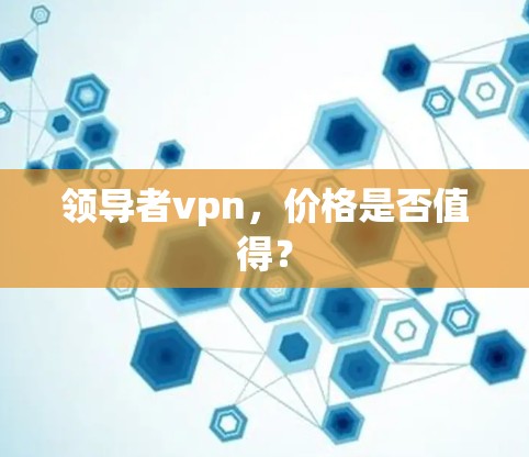 领导者vpn，价格是否值得？