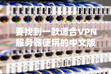 要找到一款适合VPN服务器使用的中文版软件，你可以按照以下步骤进行