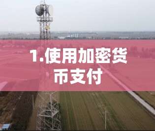 1.使用加密货币支付