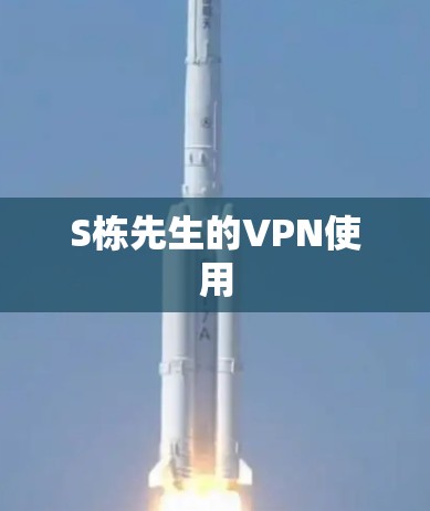 S栋先生的VPN使用