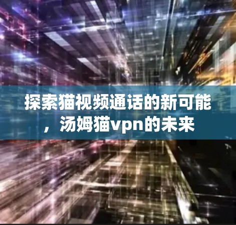 探索猫视频通话的新可能，汤姆猫vpn的未来