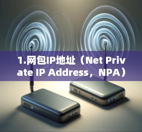 1.网包IP地址（Net Private IP Address，NPA）