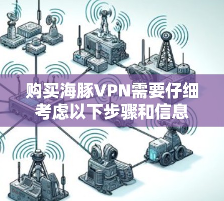 购买海豚VPN需要仔细考虑以下步骤和信息