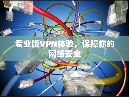 专业版VPN体验，保障你的网络安全