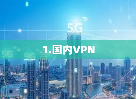 1.国内VPN