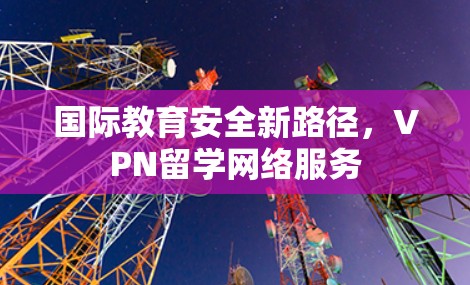 国际教育安全新路径，VPN留学网络服务