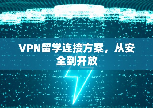 VPN留学连接方案，从安全到开放