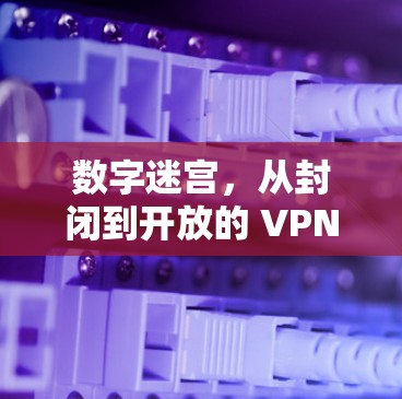 数字迷宫，从封闭到开放的 VPN 入门指南
