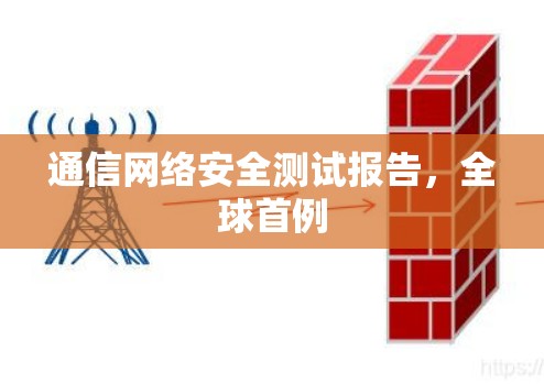 通信网络安全测试报告，全球首例