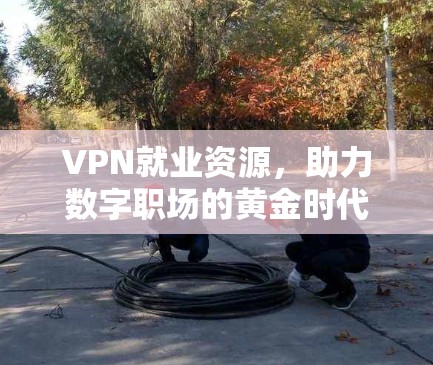 VPN就业资源，助力数字职场的黄金时代