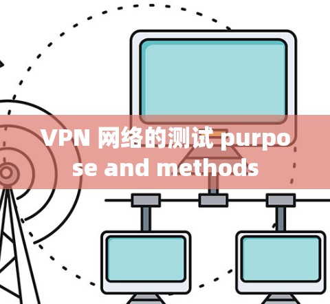 VPN 网络的测试 purpose and methods