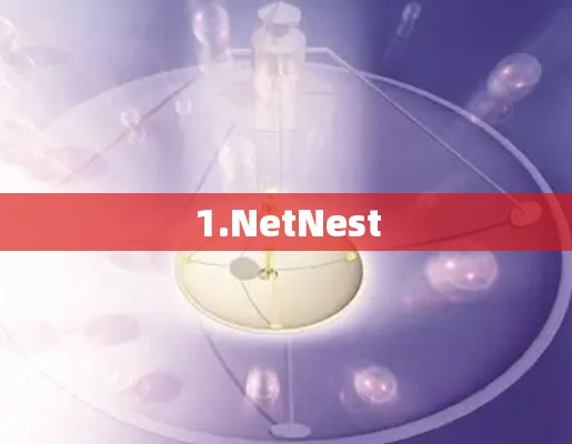 1.NetNest