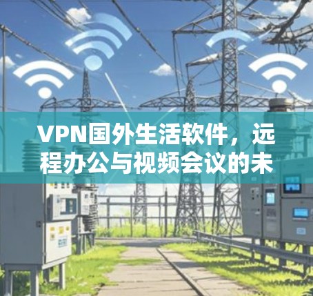 VPN国外生活软件，远程办公与视频会议的未来解决方案