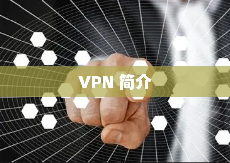 VPN 简介