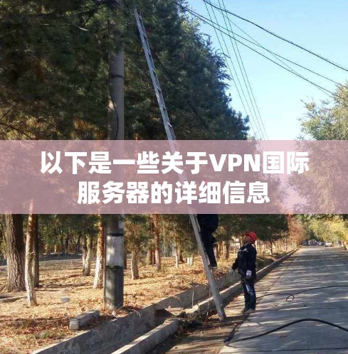 以下是一些关于VPN国际服务器的详细信息