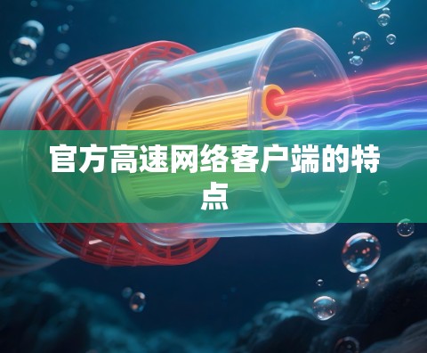 官方高速网络客户端的特点