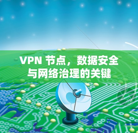VPN 节点，数据安全与网络治理的关键