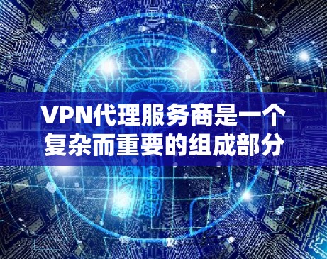 VPN代理服务商是一个复杂而重要的组成部分，涉及多个领域的技术、法律和安全问题。以下是对该问题的分步总结和答案