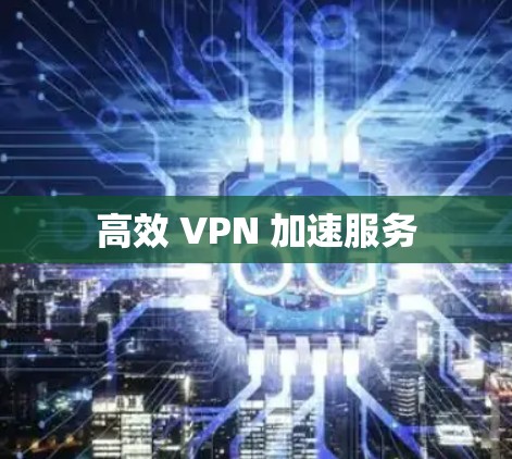 高效 VPN 加速服务