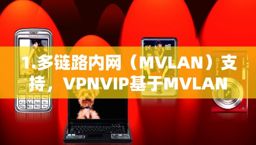 1.多链路内网（MVLAN）支持，VPNVIP基于MVLAN协议，允许多节点间进行通信和数据共享