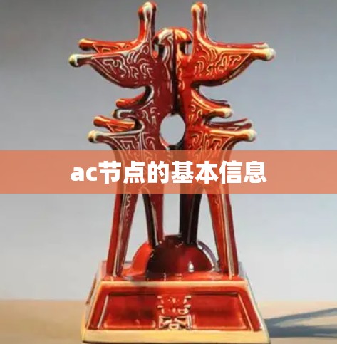 ac节点的基本信息