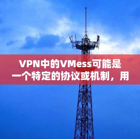 VPN中的VMess可能是一个特定的协议或机制，用于在数据传输过程中提供安全和隐私保护。以下是对VMess的逐步解释