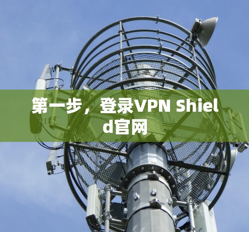第一步，登录VPN Shield官网