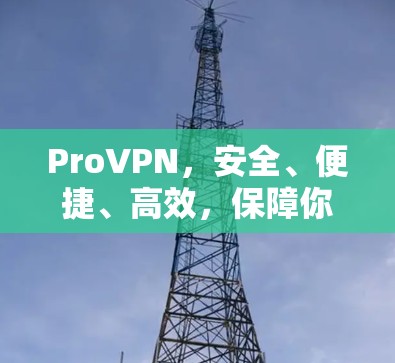 ProVPN，安全、便捷、高效，保障你的隐私与安全
