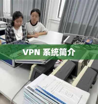 VPN 系统简介