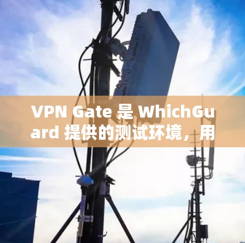 VPN Gate 是 WhichGuard 提供的测试环境，用于测试 VPN 的性能和稳定性。以下是关于VPN Gate 的详细信息和使用步骤