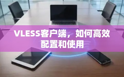 VLESS客户端，如何高效配置和使用