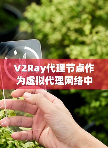 V2Ray代理节点作为虚拟代理网络中的一个关键组件，其管理需要综合考虑多个方面，从服务器配置到安全措施，都有其复杂性。以下是对V2Ray代理节点的详细分析和解决方案