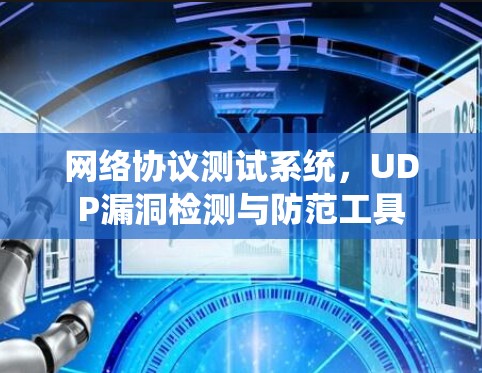网络协议测试系统，UDP漏洞检测与防范工具