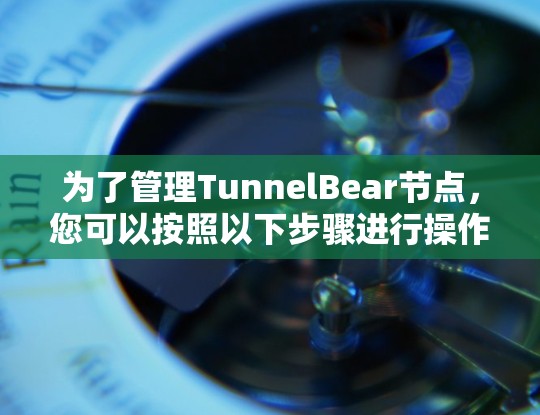 为了管理TunnelBear节点，您可以按照以下步骤进行操作