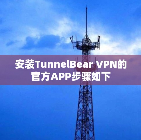 安装TunnelBear VPN的官方APP步骤如下
