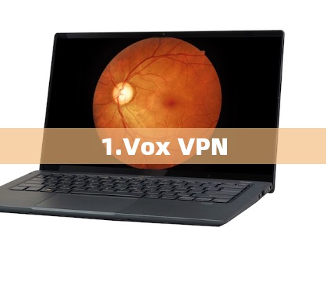 1.Vox VPN