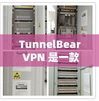 TunnelBear VPN 是一款为用户提供端到端加密的VPN软件，分为免费版和付费版。以下是关于 TunnelBear VPN 的详细信息