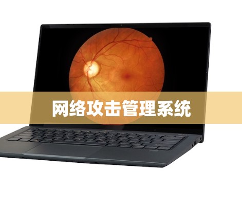 网络攻击管理系统
